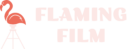 logo flaming film (3)